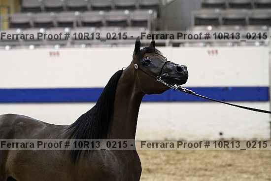 Proof 10r13_0215
