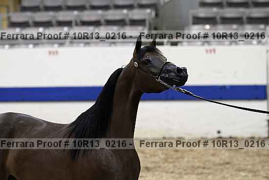 Proof 10r13_0216