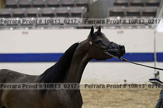 Proof 10r13_0217