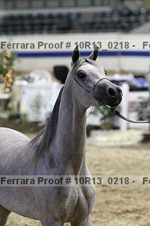 Proof 10r13_0218