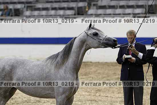 Proof 10r13_0219