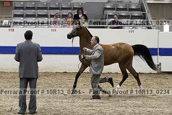 Proof 10r13_0234