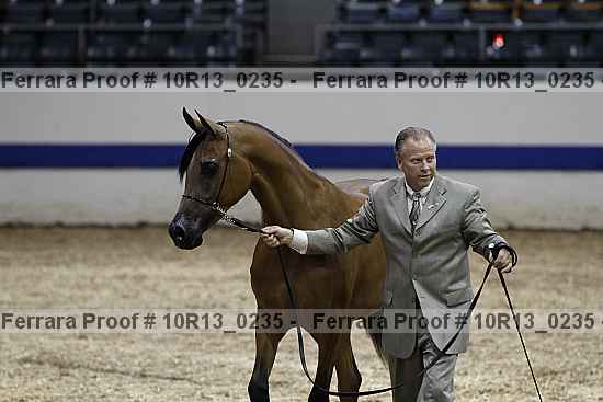 Proof 10r13_0235