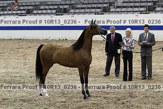 Proof 10r13_0236