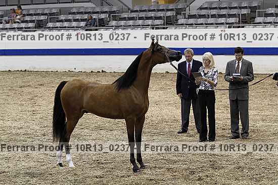 Proof 10r13_0237