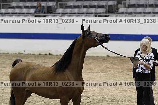 Proof 10r13_0238