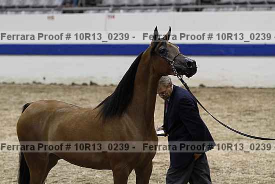Proof 10r13_0239