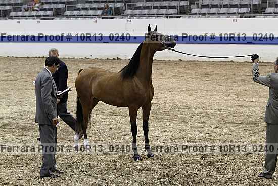 Proof 10r13_0240