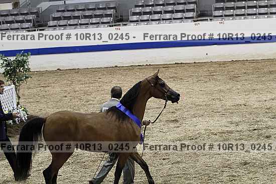 Proof 10r13_0245