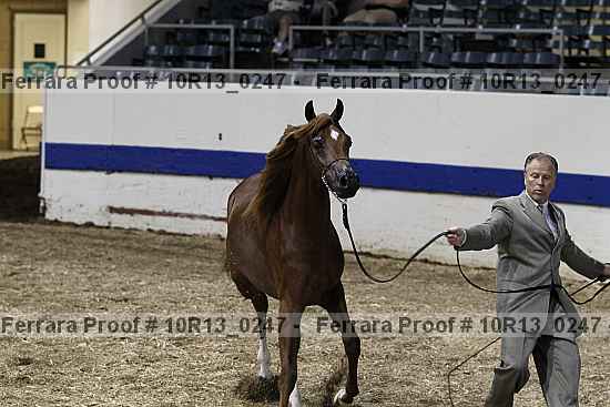 Proof 10r13_0247