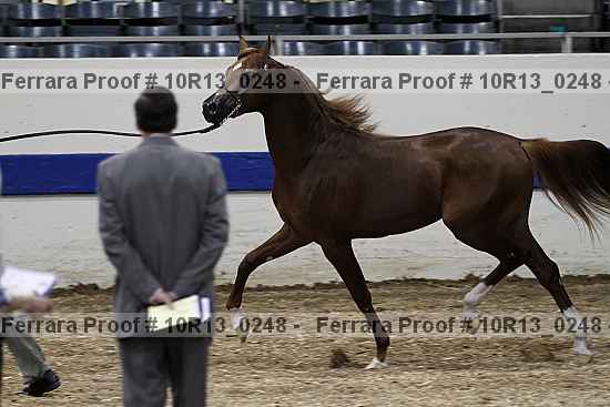 Proof 10r13_0248