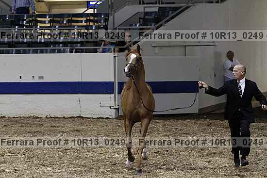 Proof 10r13_0249