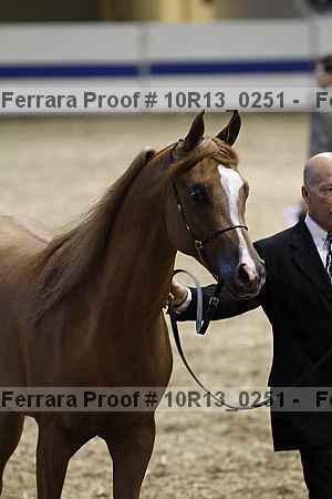 Proof 10r13_0251