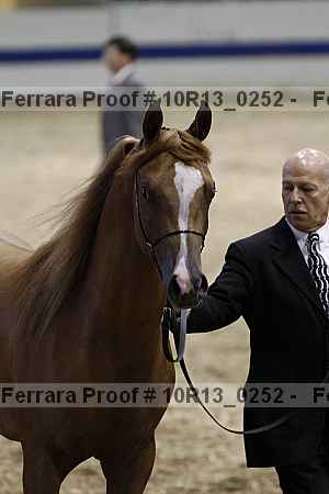 Proof 10r13_0252
