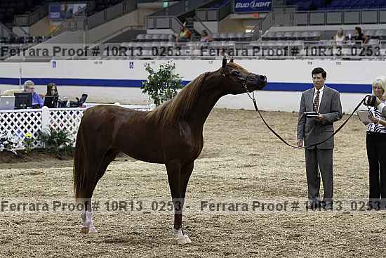 Proof 10r13_0253