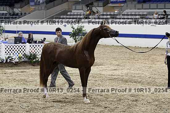 Proof 10r13_0254