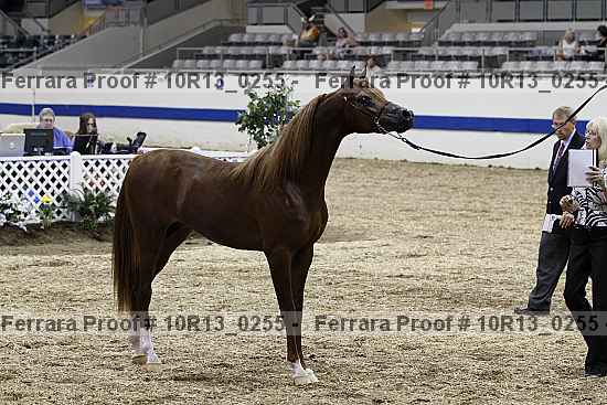 Proof 10r13_0255