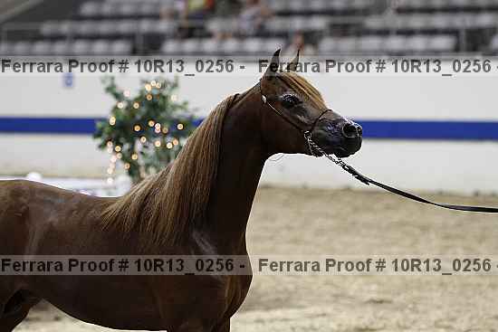 Proof 10r13_0256