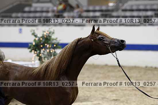 Proof 10r13_0257