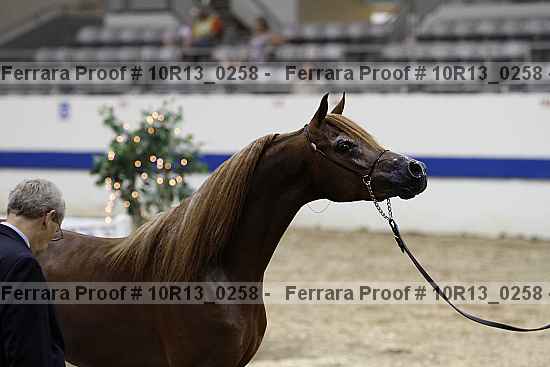 Proof 10r13_0258