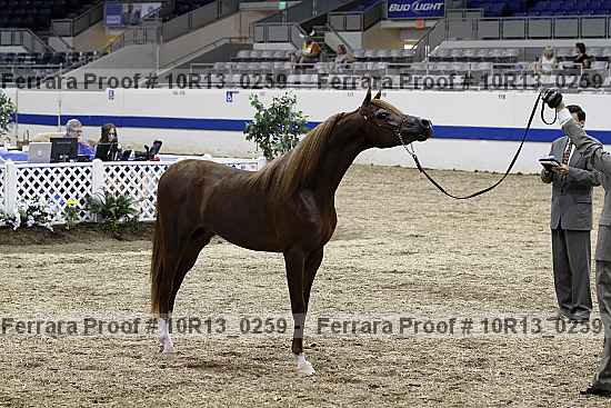 Proof 10r13_0259