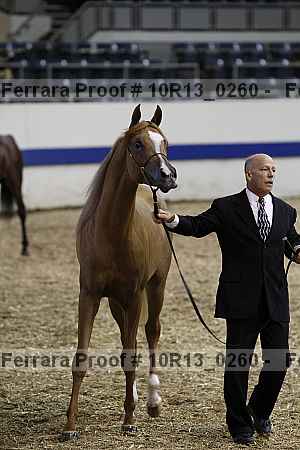 Proof 10r13_0260