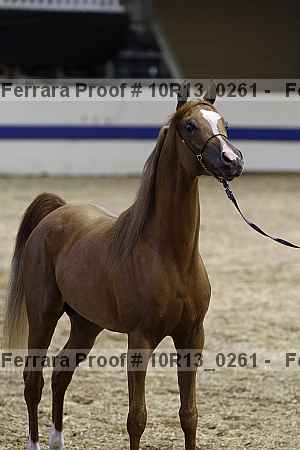 Proof 10r13_0261
