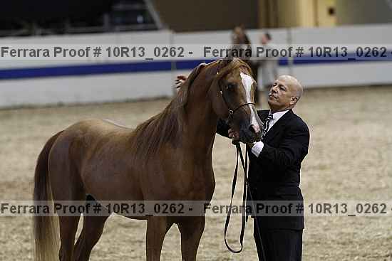 Proof 10r13_0262
