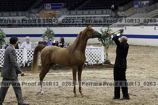 Proof 10r13_0263
