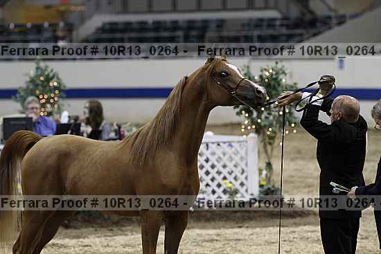 Proof 10r13_0264
