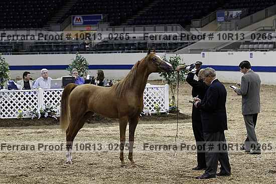Proof 10r13_0265