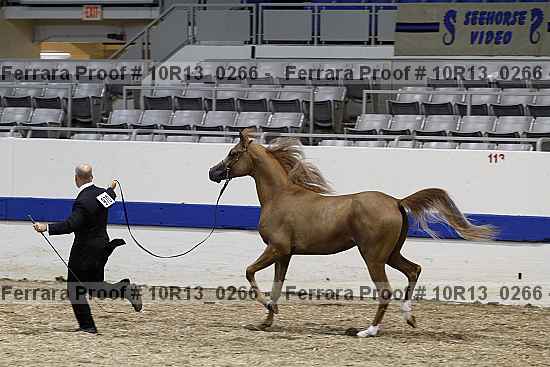 Proof 10r13_0266