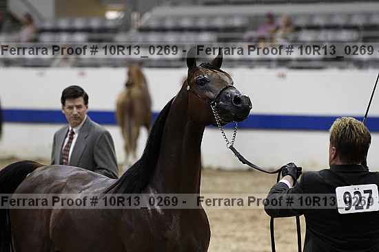 Proof 10r13_0269