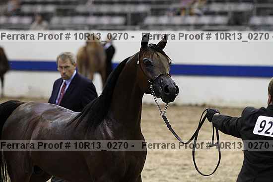 Proof 10r13_0270