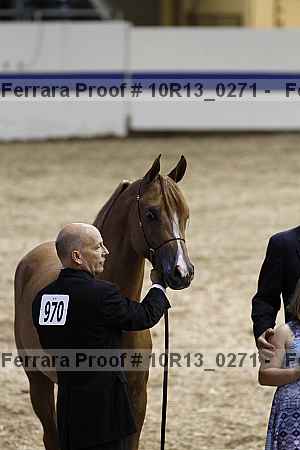 Proof 10r13_0271