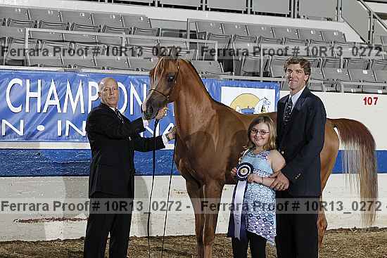 Proof 10r13_0272