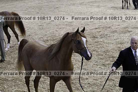 Proof 10r13_0274