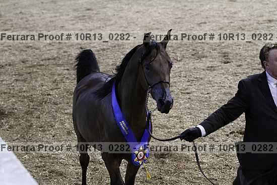 Proof 10r13_0282