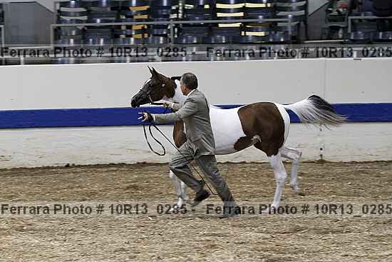 Proof 10r13_0285