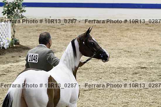 Proof 10r13_0287