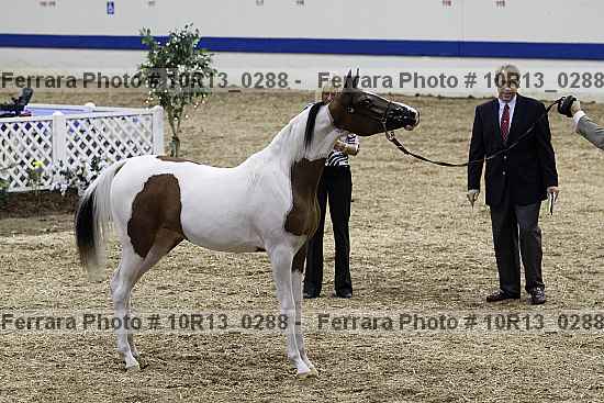 Proof 10r13_0288