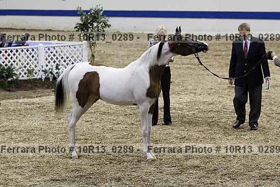 Proof 10r13_0289