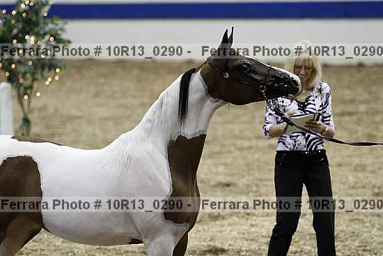 Proof 10r13_0290