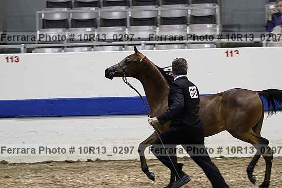 Proof 10r13_0297