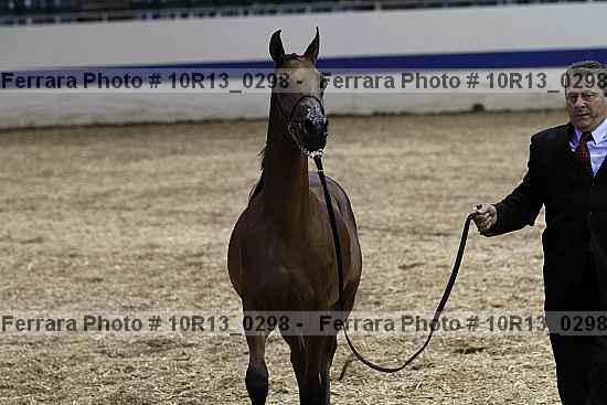 Proof 10r13_0298