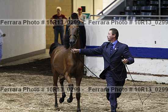 Proof 10r13_0299