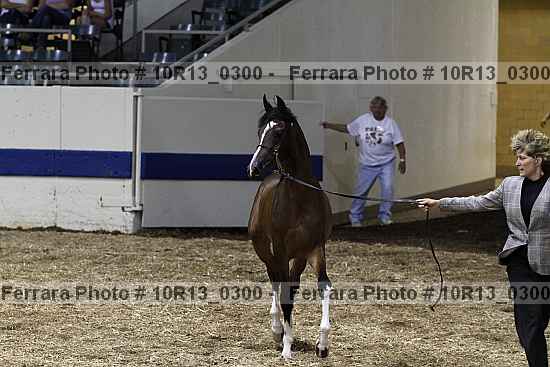 Proof 10r13_0300