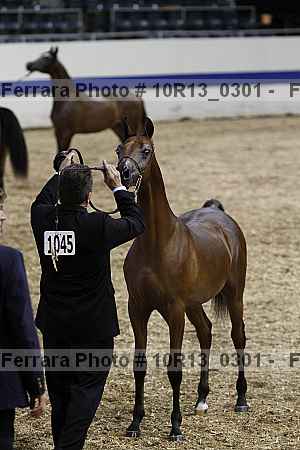 Proof 10r13_0301