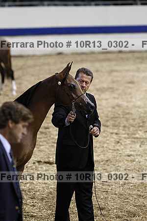Proof 10r13_0302