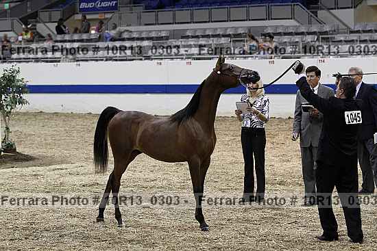 Proof 10r13_0303